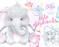 Watercolor Baby Elephant. Cute animal clipart, nursery, greeting, invite,  babyshower, baby, kids, nice, baby bottle, soother, girl, boy