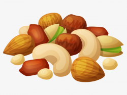Hand-painted Nuts, Nut, Hand Painted, Cartoon PNG Image and Clipart ...