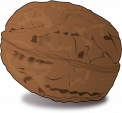 Clipart - shaded walnut