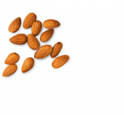 Almond PNG Transparent Images | PNG All
