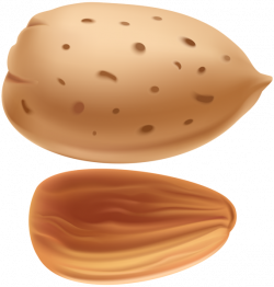 Almond PNG images free download