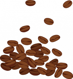Coffee bean Clip art - Coffee beans 571*625 transprent Png Free ...