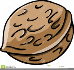 Animated Nut Clipart | Free Images at Clker.com - vector ...