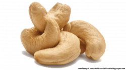 10 Free Marvelous Cashew Clipart - Fruit Names A-Z With Pictures
