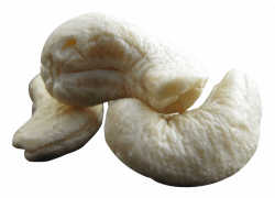 Cashew Nut png - Free PNG Images | TOPpng