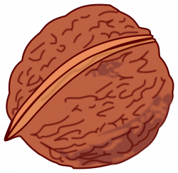 Clipart - walnut colored