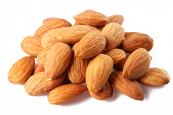 Almond Nut Clip art - Almond Transparent PNG 1024*682 transprent Png ...