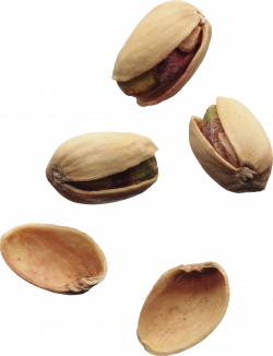 Pistachios PNG Image Without Background | Web Icons PNG