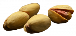 Pistachio png - Free PNG Images | TOPpng