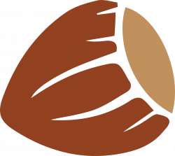 Clipart - Hazelnut