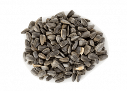 Sunflower Seeds PNG Transparent Images | PNG All