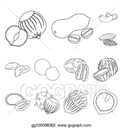 Stock Illustration - Different kinds of nuts outline icons ...