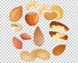 Mixed Nuts Tree Nut Allergy Peanut PNG, Clipart, Acorn ...
