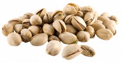 pistachio png - Free PNG Images | TOPpng