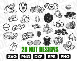 nut svg bundle, nutcracker svg, nuts vector, silhouette nut, walnut vinyl  file, walnut svg files, walnut clipart, iron-on, cut file, dxf