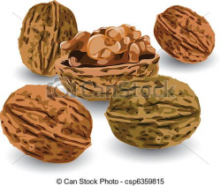 Nuts clipart vector | Clipart Panda - Free Clipart Images
