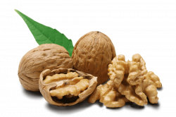 walnut png - Free PNG Images | TOPpng