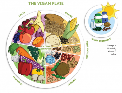 The Vegan Plate | Brenda Davis R.D.