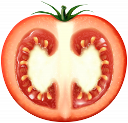 Half Tomato Transparent Clip Art Image | Gallery Yopriceville ...