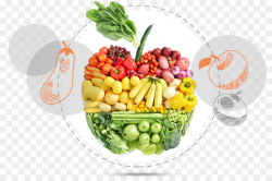 Healthy Food clipart - Food, Health, Eating, transparent ...