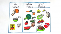 GO,GROW AND GLOW FOOD DRAWING FOR KIDS