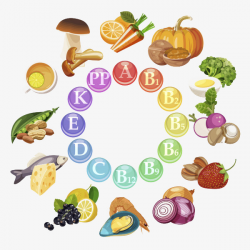 Nutrition clipart lot food, Picture #146230 nutrition ...
