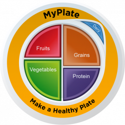 MyPlate Static Clings - Pack of 3 | $ 16.99 | Nutrition Education Store