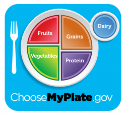 Free MyPlate Nutrition Cliparts, Download Free Clip Art ...