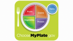 MyPlate Nutrition Cliparts - Cliparts Zone
