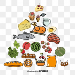 Food Pyramid PNG Images | Vector and PSD Files | Free ...