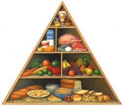 Nutrition Pyramid - Clip Art Library