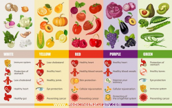 nutrition clipart vitamin food #1414 | Health Advisory ...