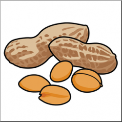 Nuts Clipart | Free download best Nuts Clipart on ClipArtMag.com