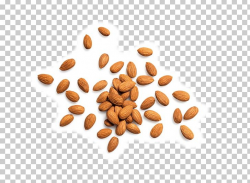 Nut Ingredient Almond Food Health PNG, Clipart, Almond ...