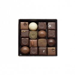 Winter Truffle Box with 16 Handmade Truffles - Max Chocolatier