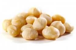 Raw Macadamia Nuts - By the Pound - Nuts.com