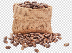 Brown nuts in bag, Castor oil Ricinus Carrier oil Seed ...