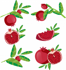 Pomegranate juice Fruit Icon - Red pomegranate 3123*3352 transprent ...