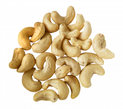Cashew Nut PNG Transparent Image - PngPix