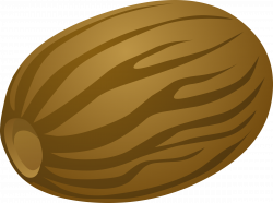 Clipart - Spice Nutmeg