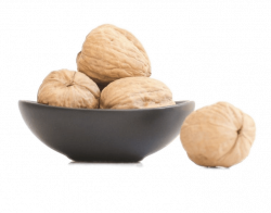 Bowl With Nuts transparent PNG - StickPNG