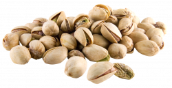 Pistachio PNG Image - PurePNG | Free transparent CC0 PNG Image Library