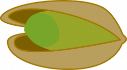 The Pistachio Factor – CERGing Forward