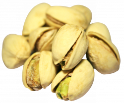 Pistachio PNG Image - PurePNG | Free transparent CC0 PNG Image Library