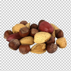 Hazelnut Praline Mixed Nuts Tree Nut Allergy Chocolate PNG ...
