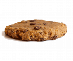 Products - Shockingly Healthy