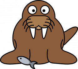 Free Walrus Pictures, Download Free Clip Art, Free Clip Art on ...