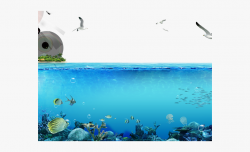 Underwater Clipart Ocean Ecosystem - Fish Underwater Png ...
