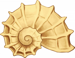 Clipart - Sea shell 42
