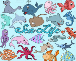 Sea Life Clipart Vector Pack, Ocean Clipart, Sea Animals, Aquatic Animals  Clipart, Sea Graphics, Marine Life Clipart, SVG, PNG file